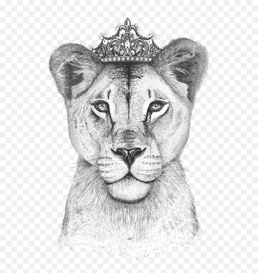 Lioness Tattoo Lion Tattoo - Lioness Art Emoji,Lioness Png