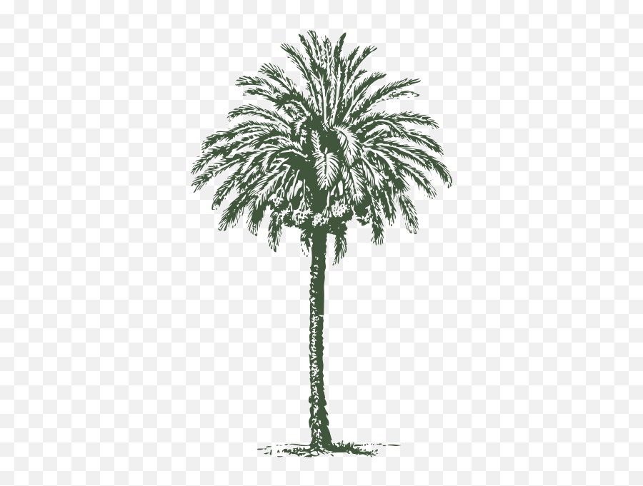 Blue Palm Tree Clipart - Clipart Suggest Emoji,Palm Tree Black And White Clipart