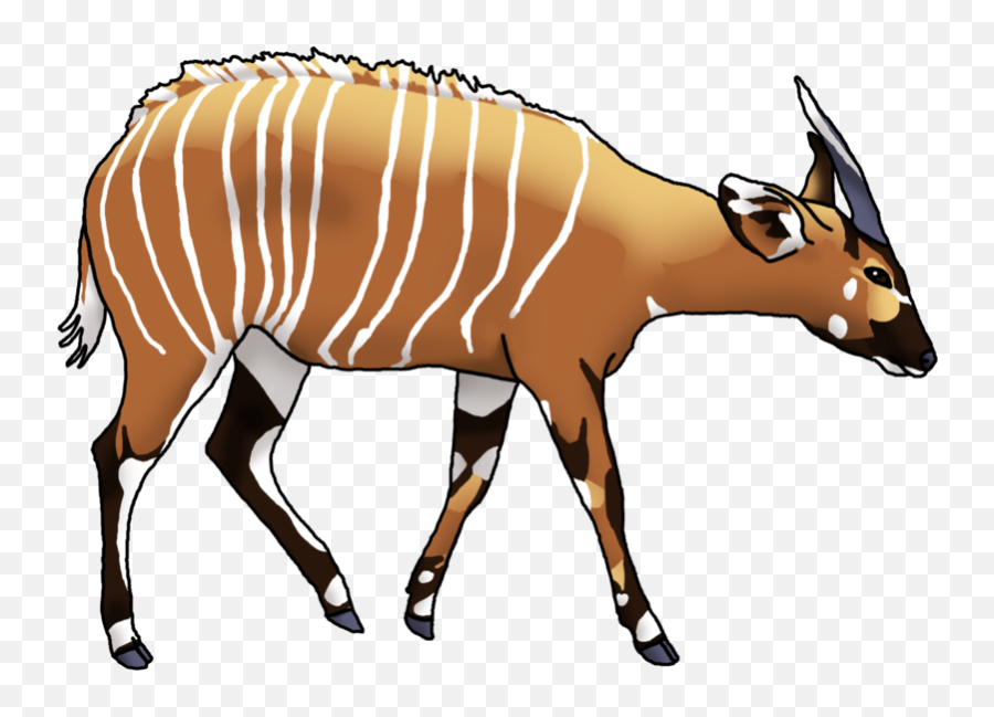 Water Buffalo Cartoon Free Download - Bongo Animal Clipart Emoji,Buffalo Clipart