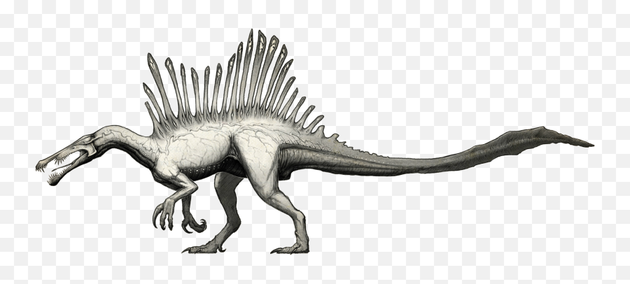 Download Neurotenic Spinosaurus - Spinosaurus Png Image With Emoji,Spinosaurus Png
