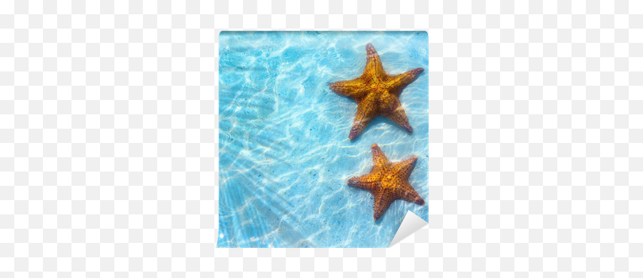 Abstract Blue Sea Tropical Background - Mare Sfondo Stella Marina Emoji,Blue Starfish Logo