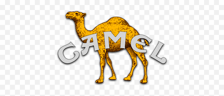 Camel Music Fanart Fanarttv Emoji,Camel Transparent Background