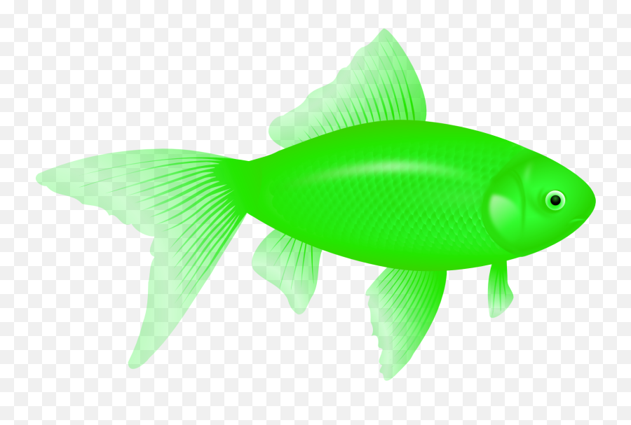 Fish Png Images - Green Fish Png Emoji,Fish Png