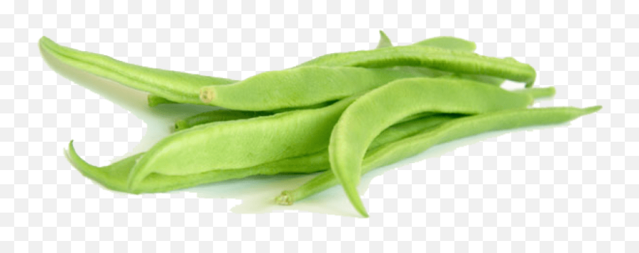 Green Beans Png Clipart - Green Bean Png Emoji,Beans Clipart