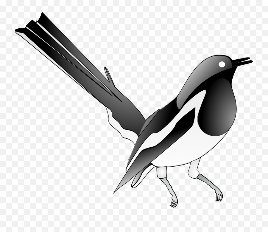Oriental Magpie Robin - Magpie Robin Clipart Black And White Emoji,Robin Clipart