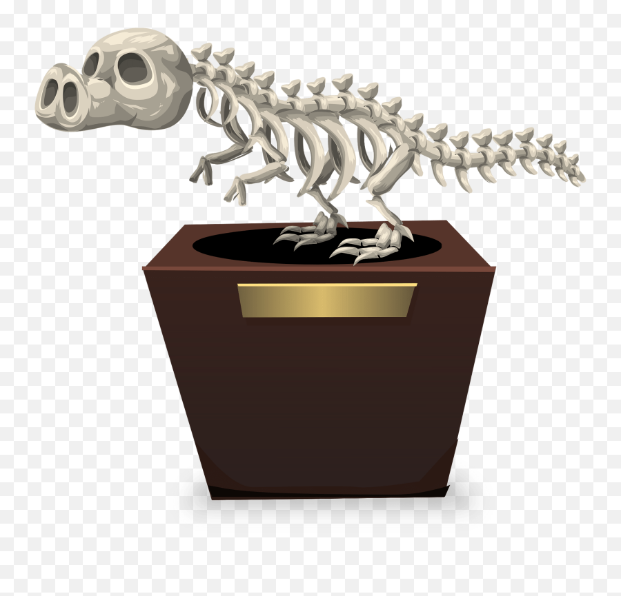 Free Photo Dinosaur Fossil Skeleton Paleontology Prehistoric Emoji,Skeletal Clipart