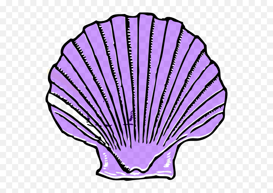 Seashells Clipart Shell Group - Purple Shell Clipart Emoji,Seashell Clipart