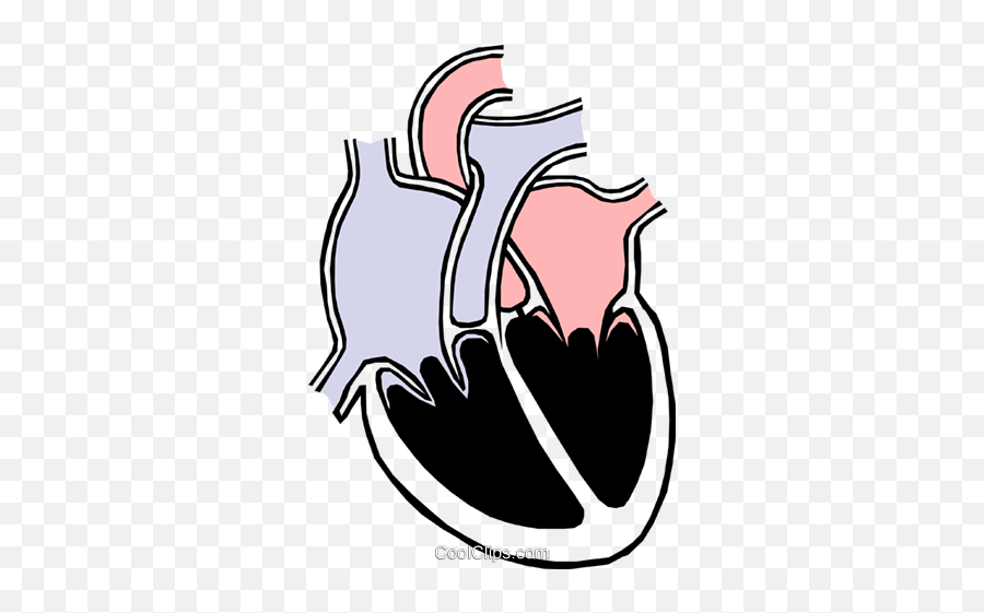 Heart Chambers Royalty Free Vector Clip Art Illustration Emoji,Realistic Heart Clipart