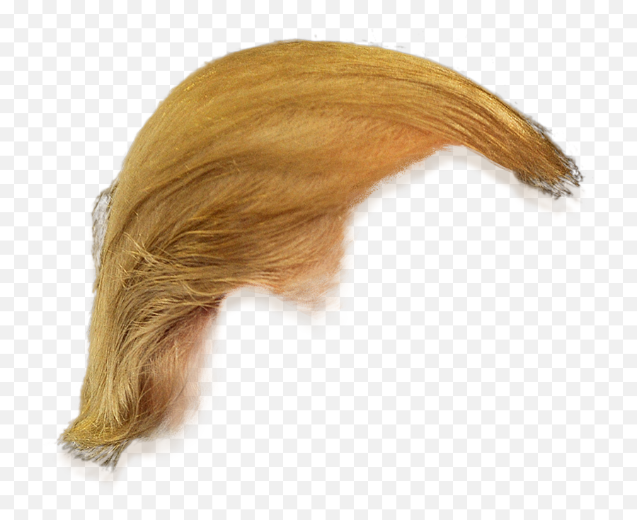 Trump Hair Png Hd Png Pictures - Vhvrs Hair Donald Trump Wig Emoji,Trump Clipart