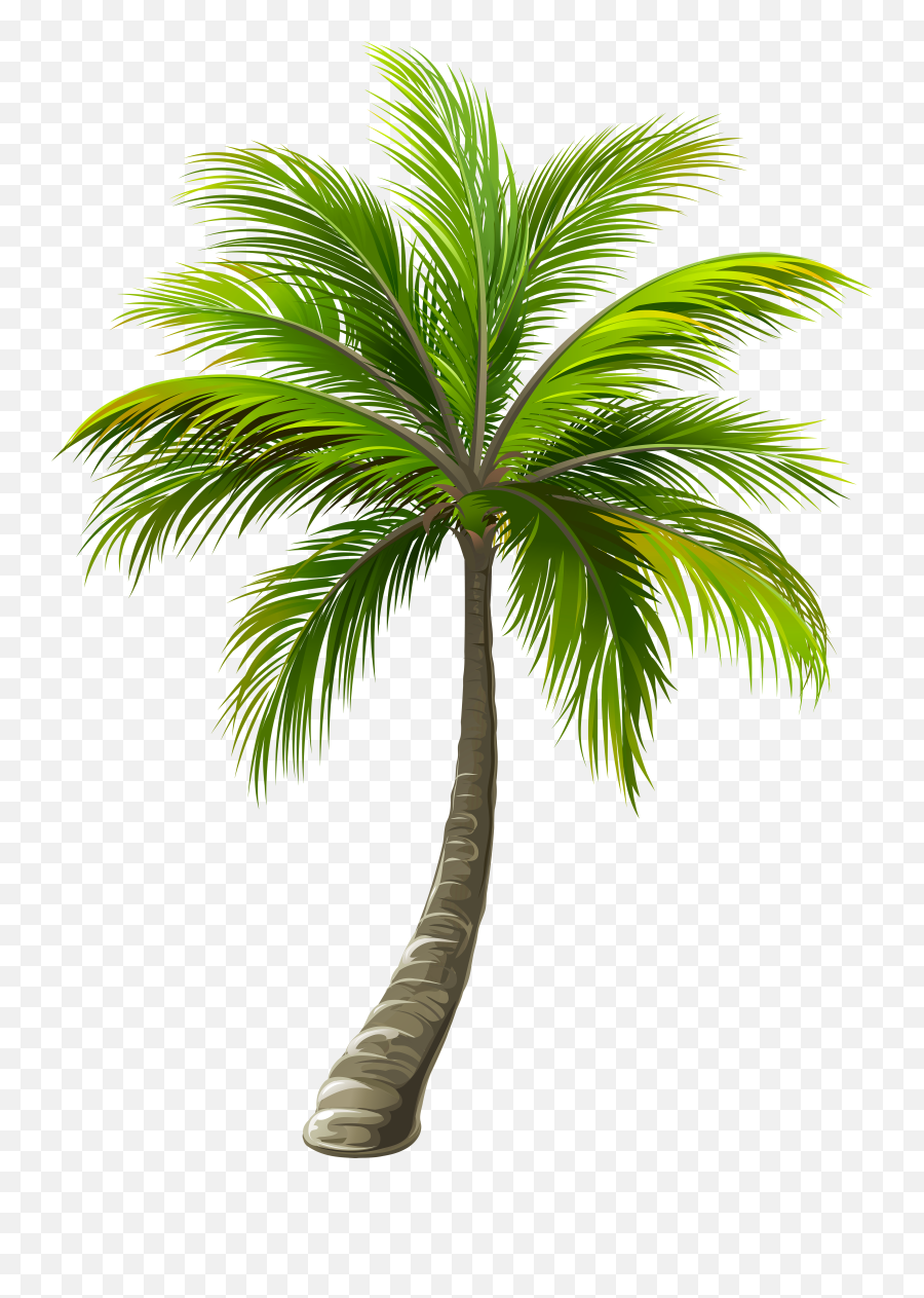 Palm Tree Png - Transparent Palm Tree Emoji,Palm Tree Png