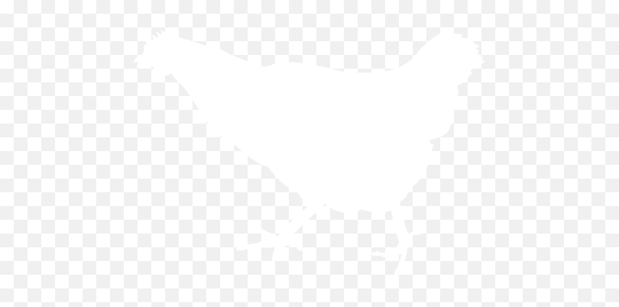 White Chicken 2 Icon - Free White Animal Icons Chicken Icon Png White Emoji,Chicken Transparent