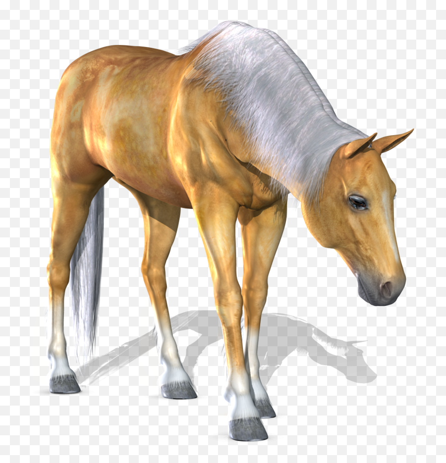 3d Horse Png 3 - Horse 3d Png Emoji,Horse Png
