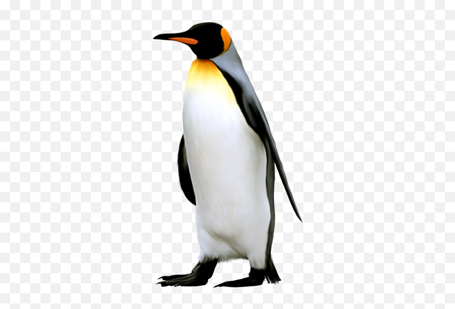 Penguin Png Images Free Download Winter Penguin Clipart - King Penguins No Background Emoji,Penguin Transparent Background