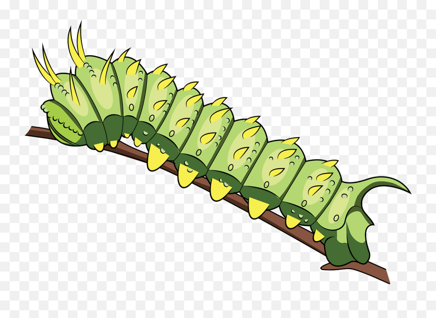 Syssphinx Hubbardi Caterpillar Clipart - Parasitism Emoji,Caterpillar Clipart