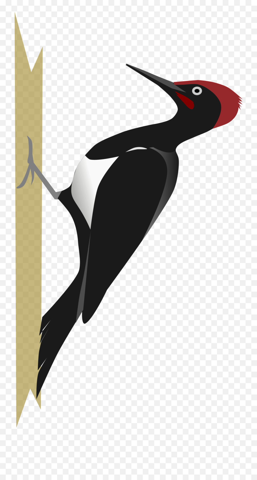 Woodpecker Png Clipart Emoji,Woodpecker Png