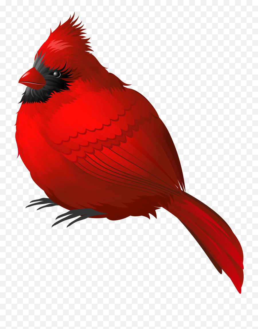 Picture - Red Bird Png Emoji,Cardinal Clipart