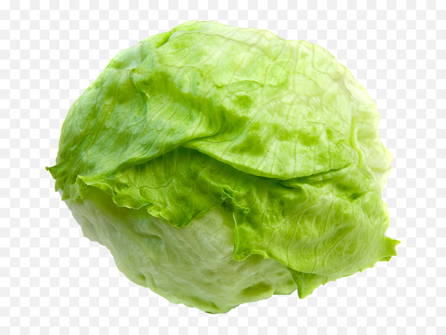 Lettuce Clipart Lettuce Slice - Head Of Lettuce No Background Emoji,Lettuce Clipart