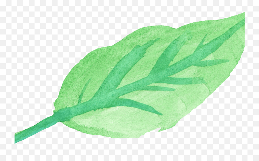 Download 15 Watercolor Leaves Png For Free Download On - Sketch Emoji,Leaf Transparent