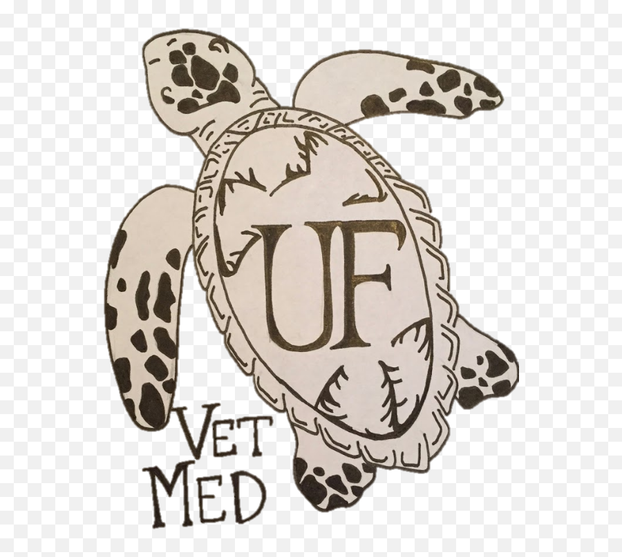 Home Uf Aquatic Animal Health Club - Loggerhead Sea Turtle Emoji,Uf Logo