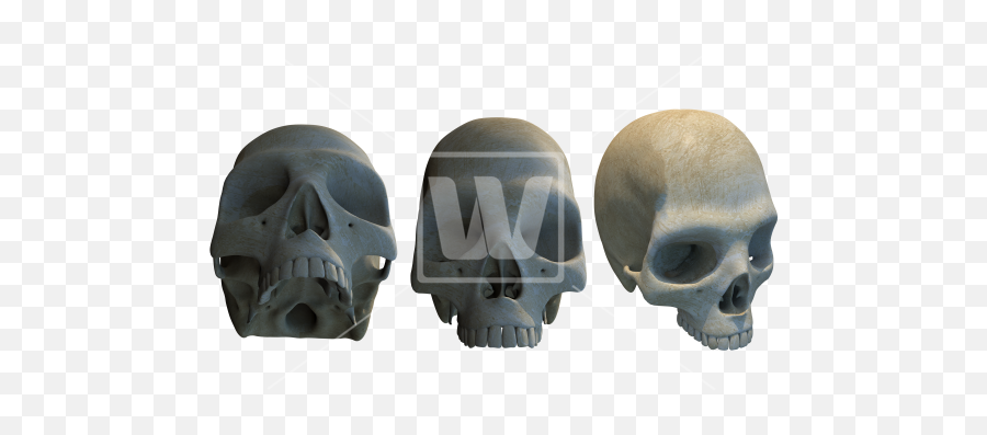 Three Different Skulls Png - Scary Emoji,Skulls Png