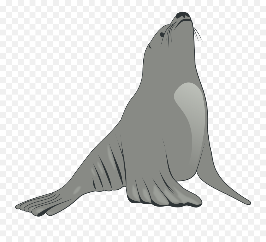 Sea Lion Clip Art Free Clipart Panda - Free Clipart Images Sea Lion Clipart Emoji,Totoro Clipart