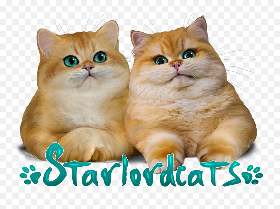 Star Lord Cattery Emoji,Starlord Png