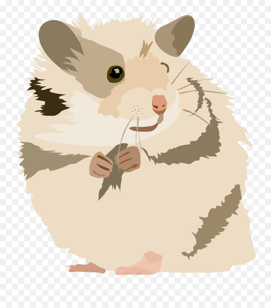 Hamster Clipart Transparent Background - Transparent Background Hamster Clipart Transparent Emoji,Hamster Clipart