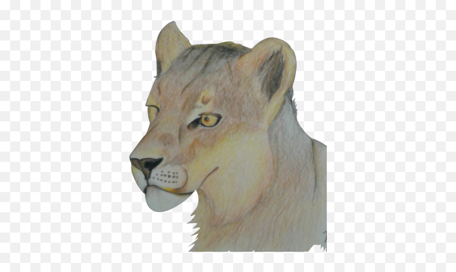 Lioness Png Image With No Background - Wildlife Emoji,Lioness Png