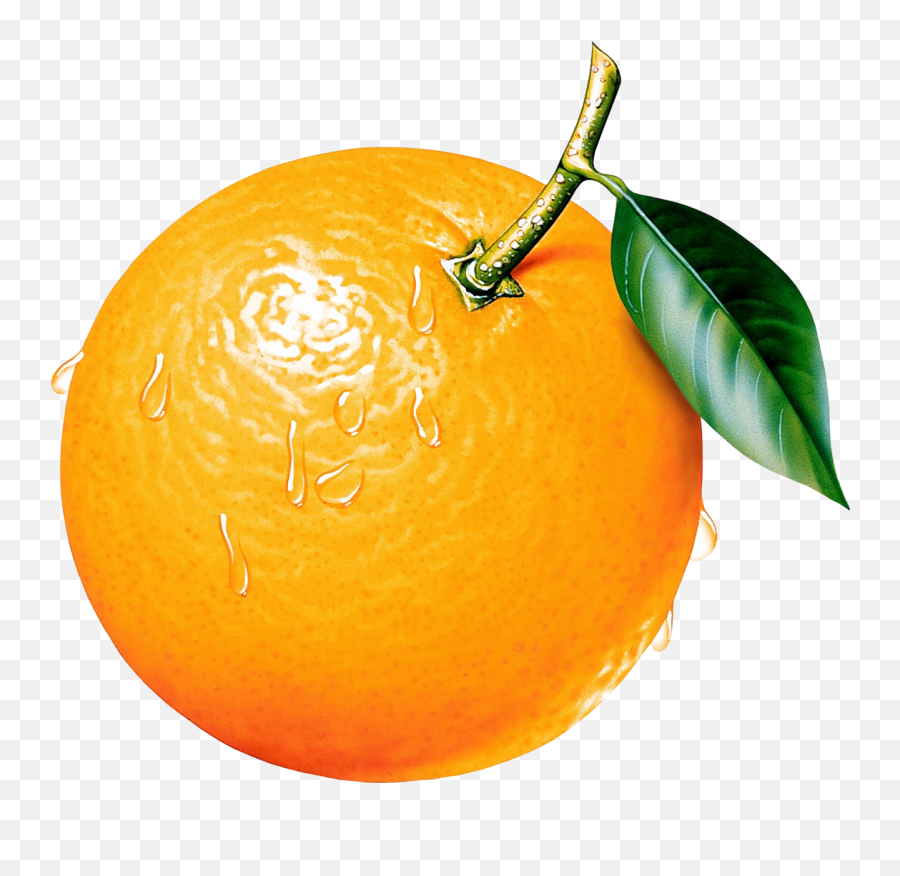 Free Fruit Orange Cliparts Download - Clip Art Orange Emoji,Orange Clipart