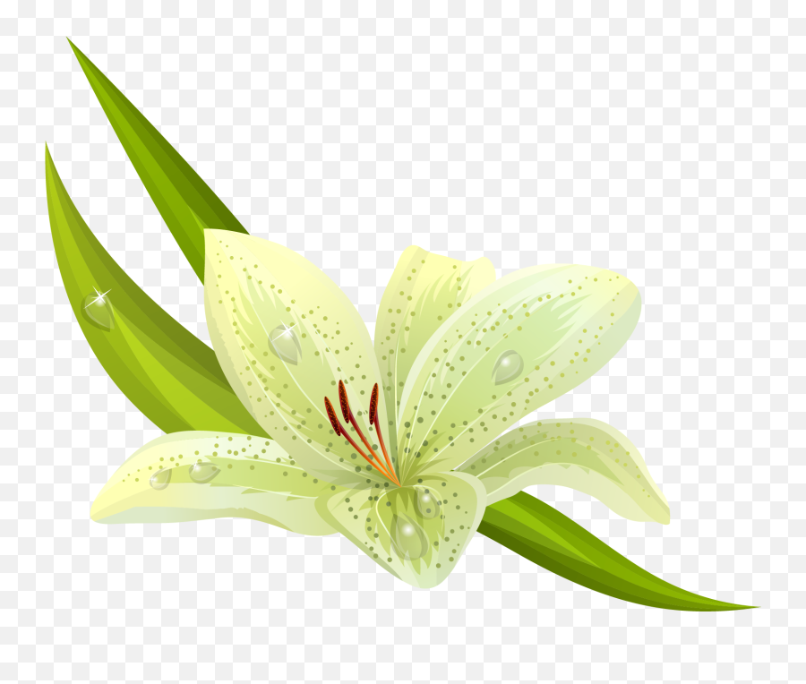 Download Hd White Flowers Png Images - Yellow And Green Emoji,White Flowers Clipart