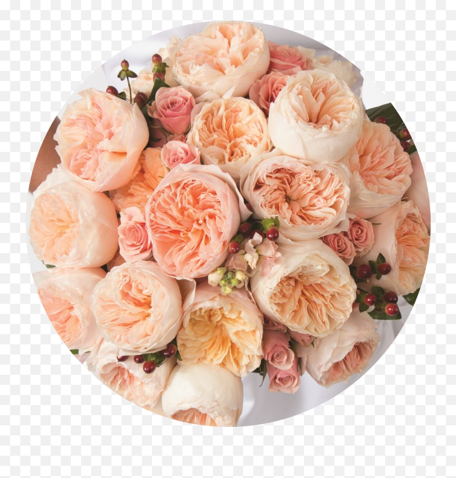Best Roses For Floral Design Emoji,Rose Flower Png