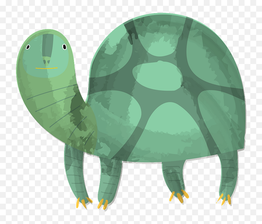 Turtle Clipart Free Download Transparent Png Creazilla Emoji,Turtle Clipart Free