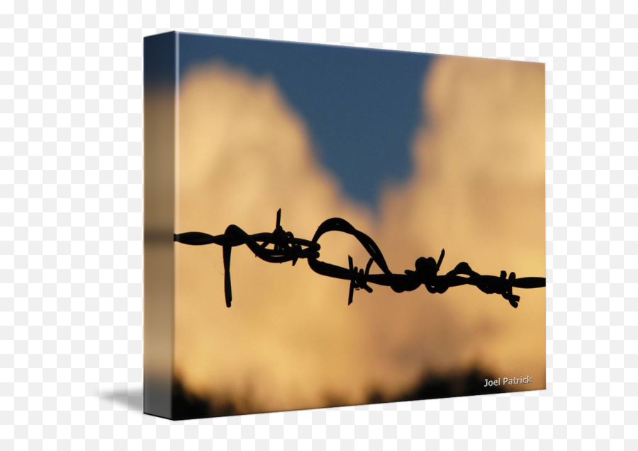 Download Barbed Wire City - Barbed Wire Png Image With No Barbed Wire Emoji,Barbed Wire Png