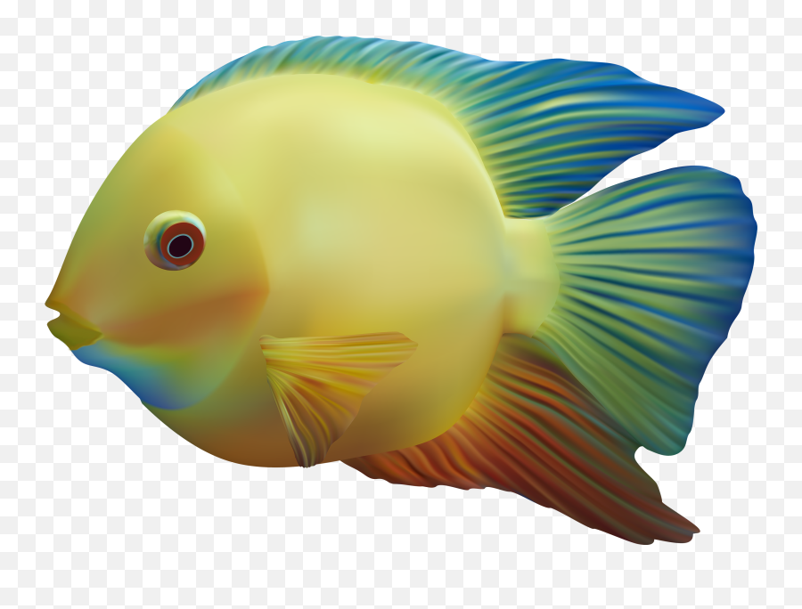 Fish Png In High Resolution - Transparent Transparent Background Download Fish Png Emoji,Fish Png