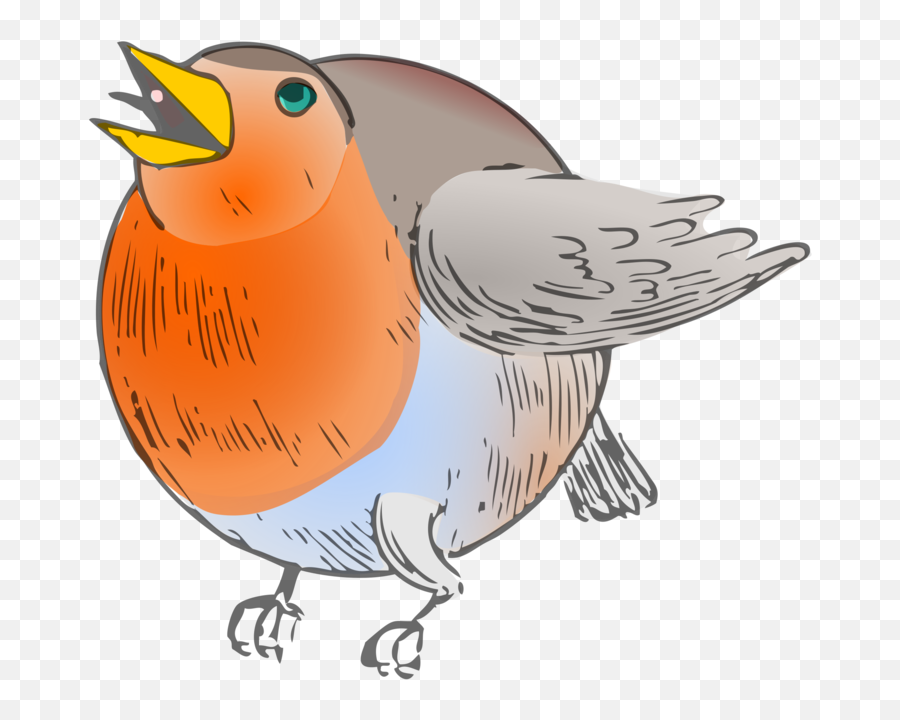 Art Old World Flycatcher European Robin - Round Robin Png Emoji,Robin Clipart