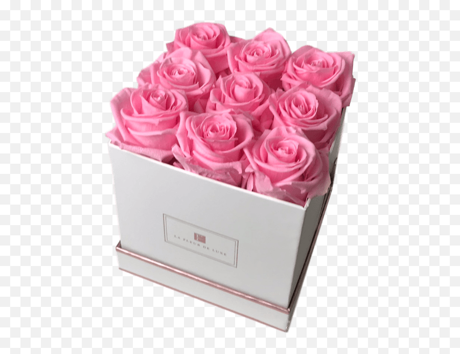 Small Square Box - Long Lasting Roses Emoji,Square Box Png