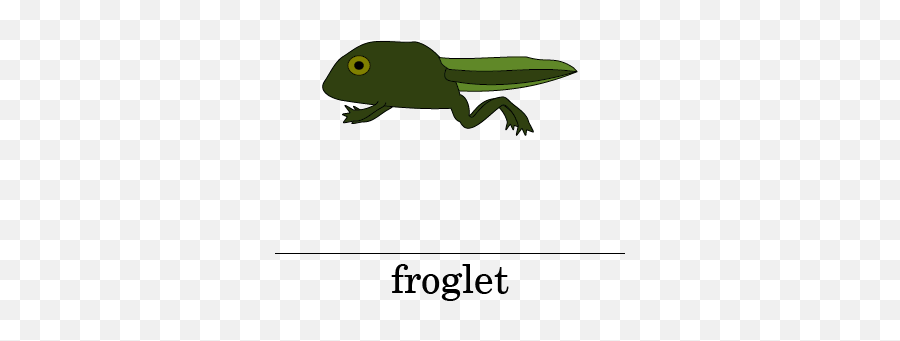 Frog Life Cycle Emoji,Tadpoles Clipart