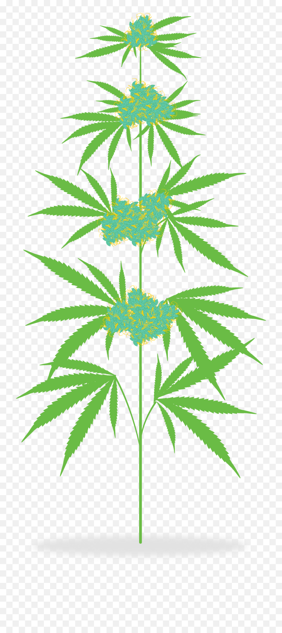 Cannabis Clipart Png Transparent Png - Marijuana Plant Clipart Emoji,Cannabis Clipart