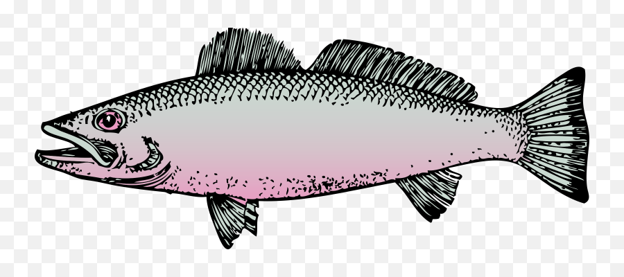 Clip Art Fishing Rainbow Trout - Fishing Png Download 1280 Clear Background Fish Clipart Transparent Emoji,Trout Clipart