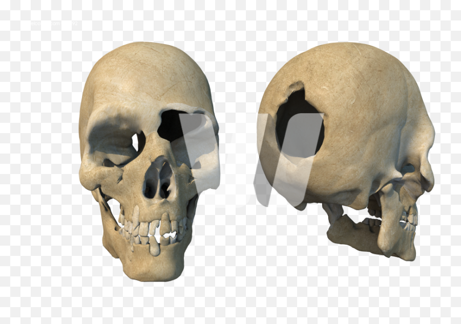 Head Shot Damaged Skulls - Scary Emoji,Skulls Png