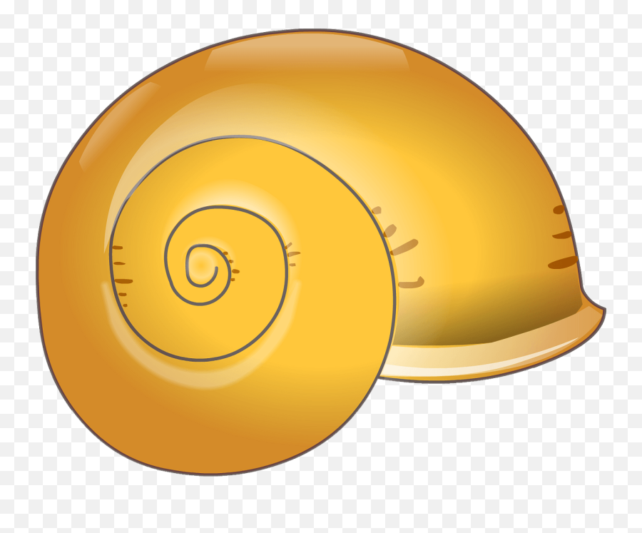 Shell Clipart - Shell Clipart Emoji,Seashell Clipart