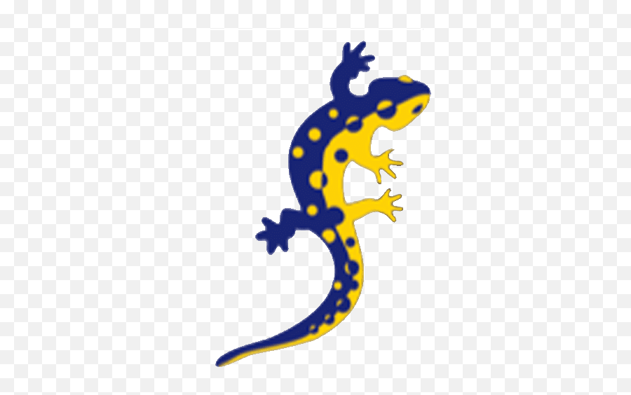 Men Archives - Waterdawg Outdoors Emoji,Salamander Clipart
