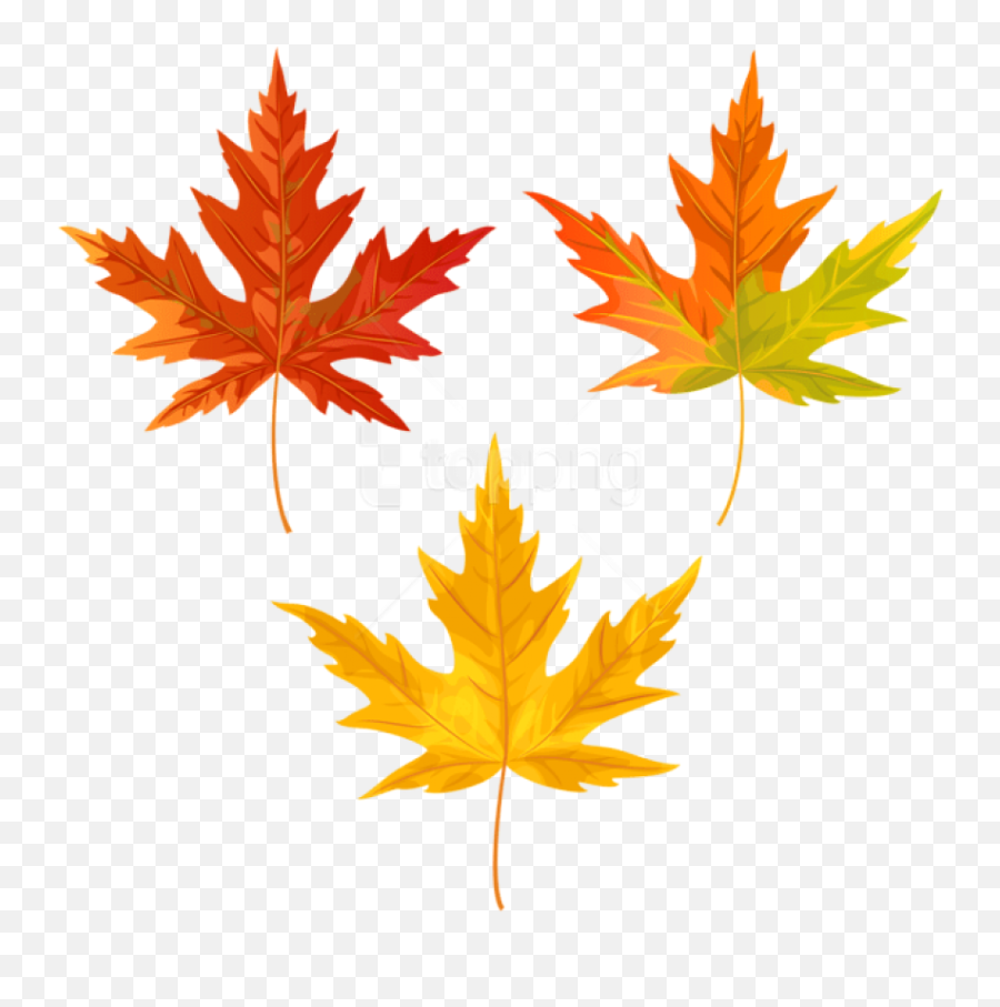 Download Free Png Download Orange Fall Leaves Clipart Png - Png Transparent Background Fall Leaves Clip Art Png Emoji,Fall Leaves Clipart