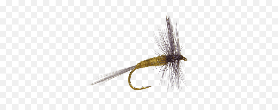 Fly Fishing Blogger Vets On The Vise - Blue Winged Olive Fly Emoji,Trout Clipart