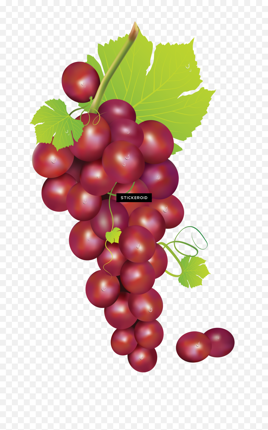 Red Grape With Leaves - Grape Fruit Anime Clipart Full Transparent Background Grapes Transparent Emoji,Anime Lines Png