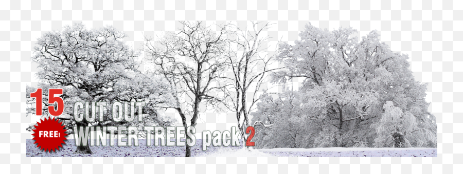 Packs - Cut Out Vegetation Trees Cut Out Winter Trees Language Emoji,Png Pack
