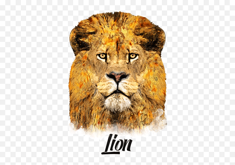 Lion T - Shirt Vivid Colors Emoji,Lion Logo Shirt