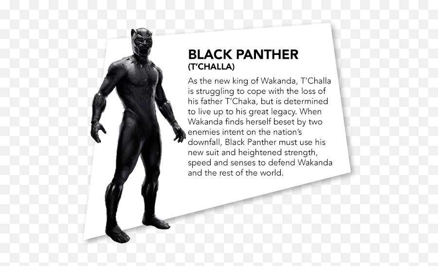 Black Panther Character Descriptions U0026 Promo Images Revealed - Movie Character Bios Emoji,Black Panther Png