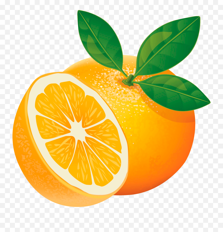 Orange Clipart - English Picture Of Fruits With Name Emoji,Orange Clipart