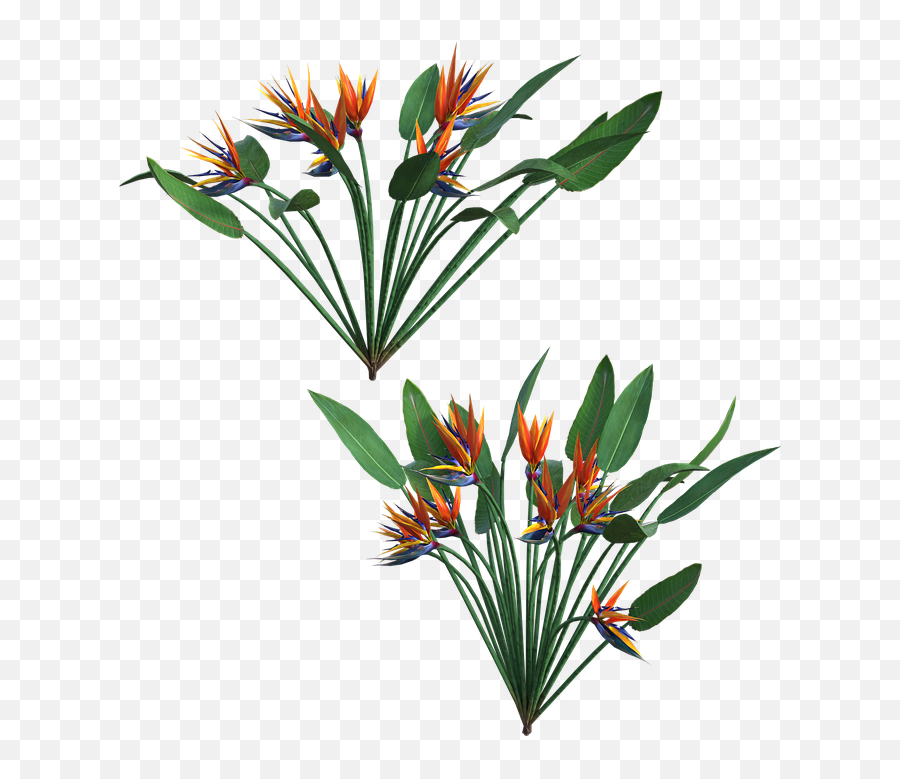 Tropical Plant Nature Emoji,Tropical Plants Png